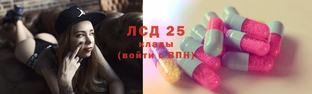 ПСИЛОЦИБИНОВЫЕ ГРИБЫ Алексин