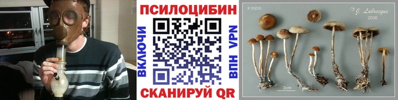 дарнет шоп KRAKEN зеркало Псилоцибиновые грибы прущие грибы Горбатов